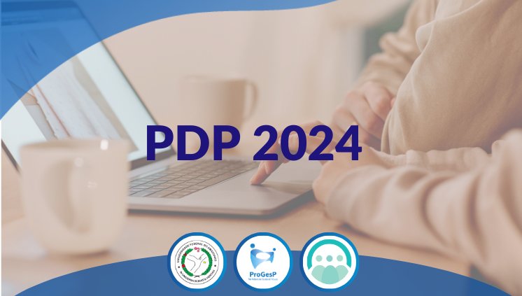 Plano de Desenvolvimento de Pessoas (PDP) 2024